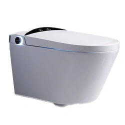 Douche-wc
