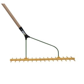 Double tine hay rake